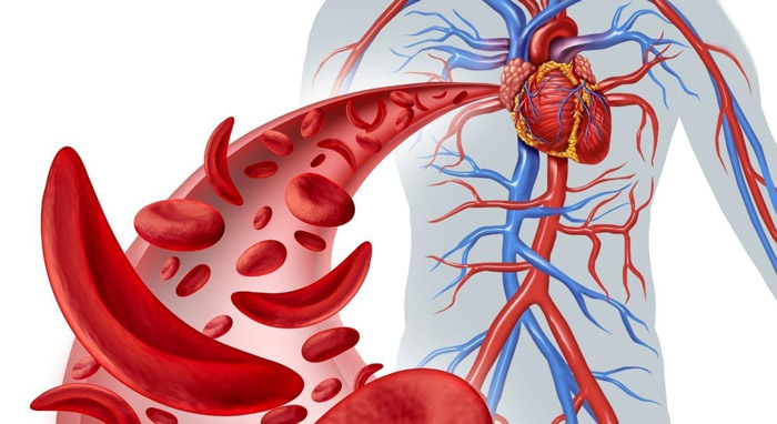 رنج نرمال آهن خون چقدر است؟
