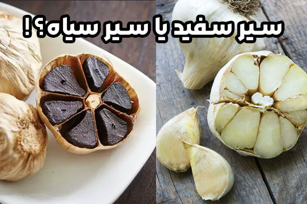 سیر سیاه در مقابل سیر معمولی - چه تفاوت هایی وجود دارد؟