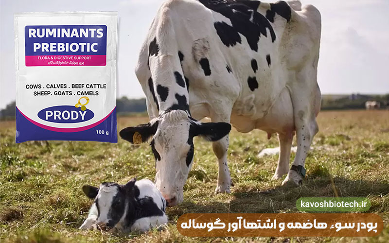 پودر سوء هاضمه و اشتها آور گوساله (Ruminats Prebiotic)
