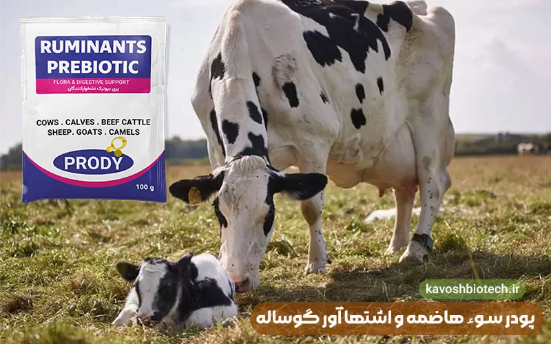 پودر سوء هاضمه و اشتها آور گوساله (Ruminats Prebiotic)