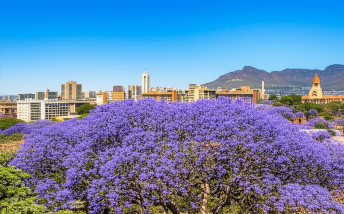 بهترین زمان بازدید از شهر پرتوریا | راهنمای جامع سفر (2024)