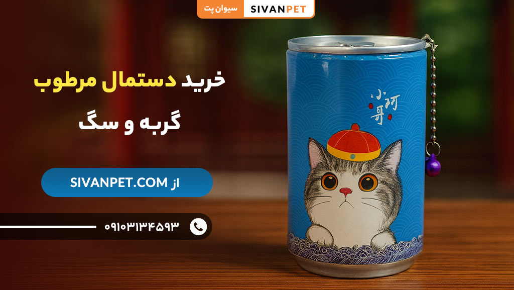 مزایای خرید دستمال مرطوب گربه