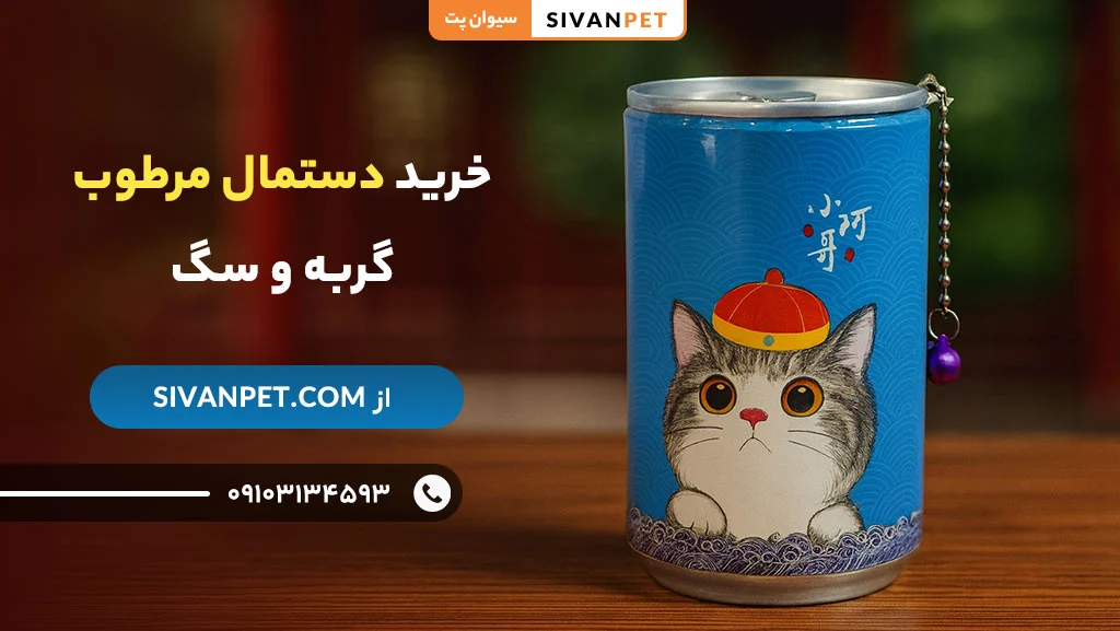 مزایای خرید دستمال مرطوب گربه