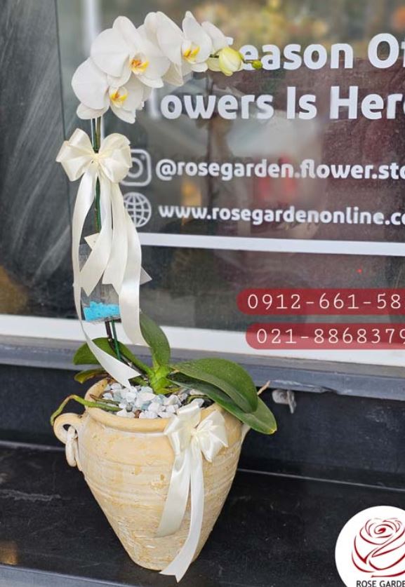 گلدان ارکیده