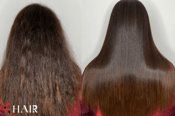 تاثیرات مواد صافی و احیایی بر روی هورمون ها